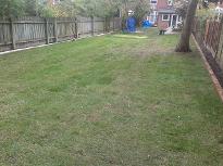 Overgrown garden cleared and returfed.