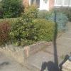Get your garden into shape in selly Oak