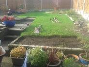 Landscaping garden in selly Oak