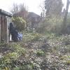 Overgrown garden cleared and landscaped.