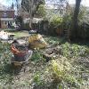 large overgrown garden in kings Heath.