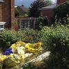 Large overgrown front garden in Kings Norton.