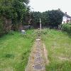 overgrown garden in smethwick.